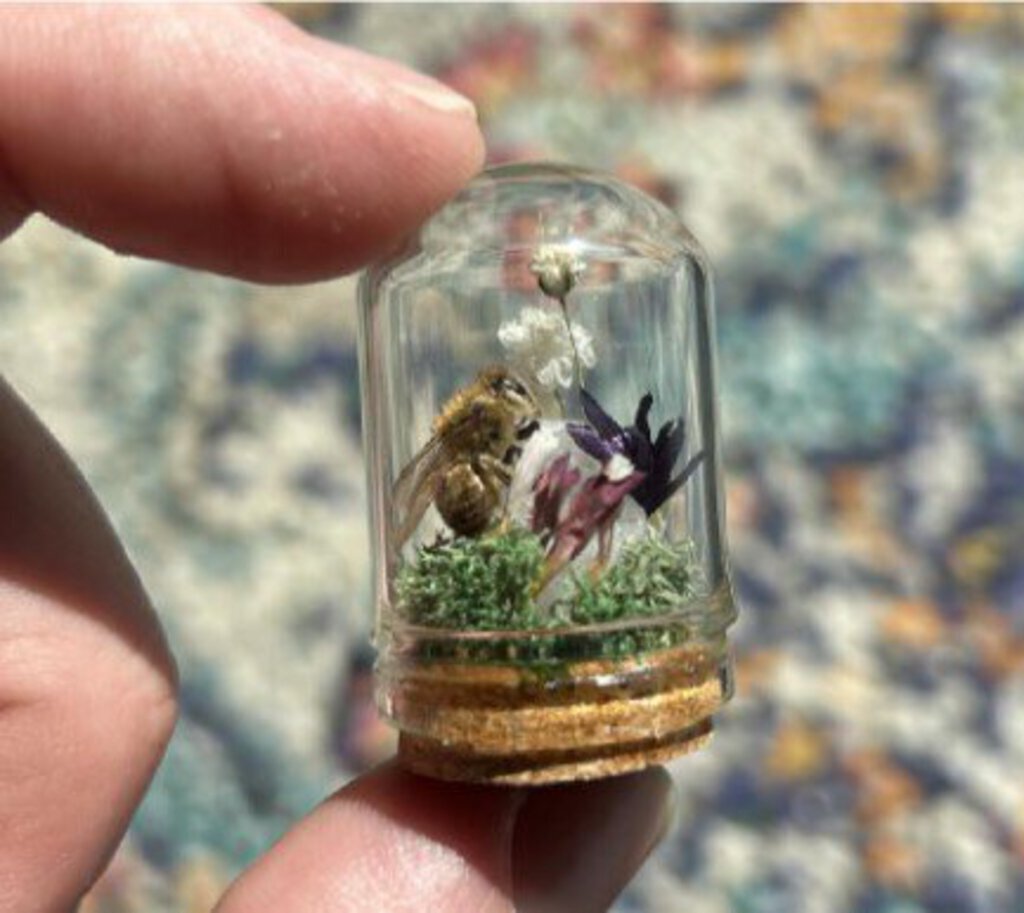 Create Your Own Honeybee or Ladybug Micro Mini World Dec.21st 12:30p-1:30p