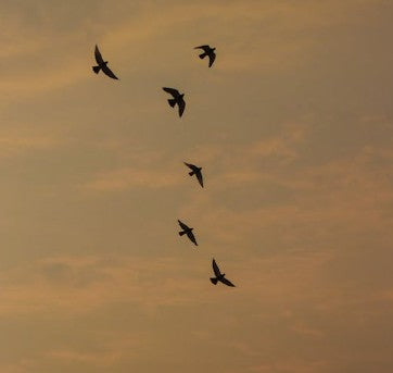 Hello 2026: Becoming, One Studio Moment at a Time