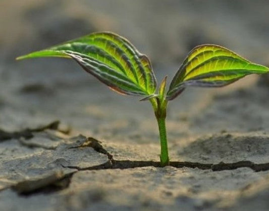 When Growth Feels Uncomfortable