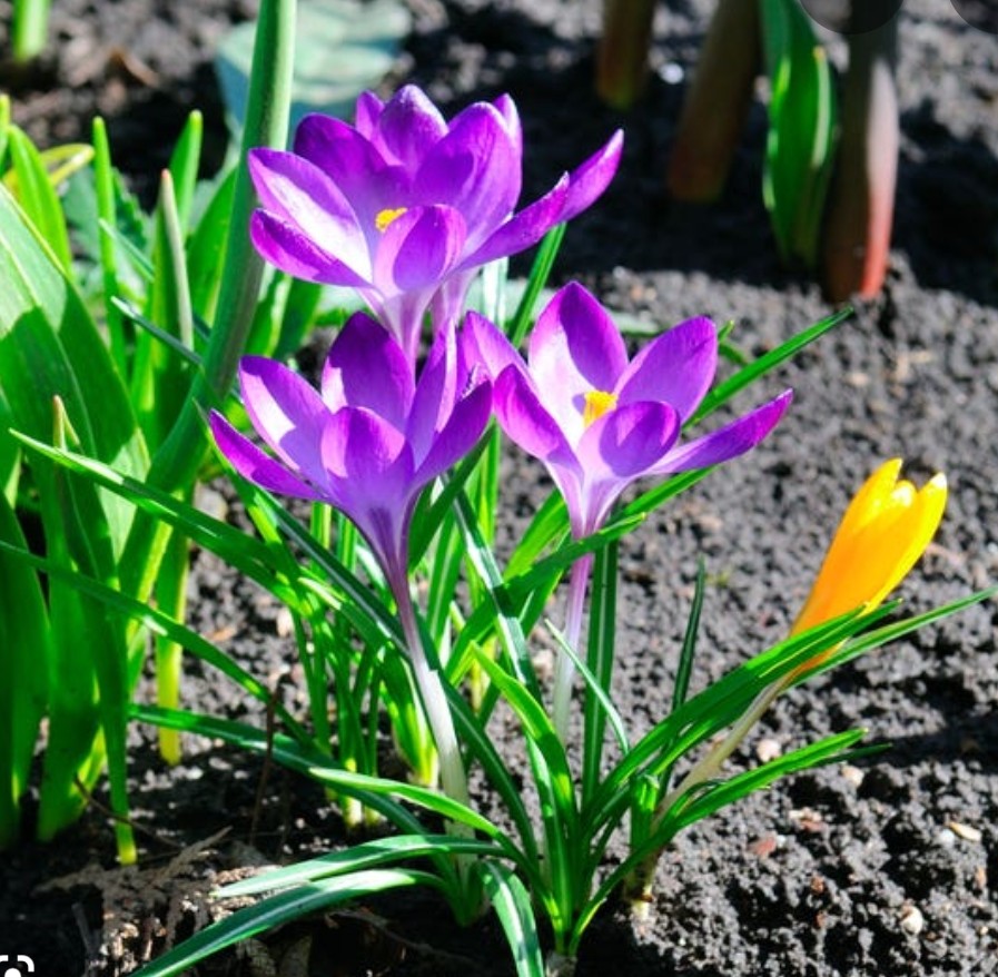 Two Years In (And It Still Feels Like Spring)