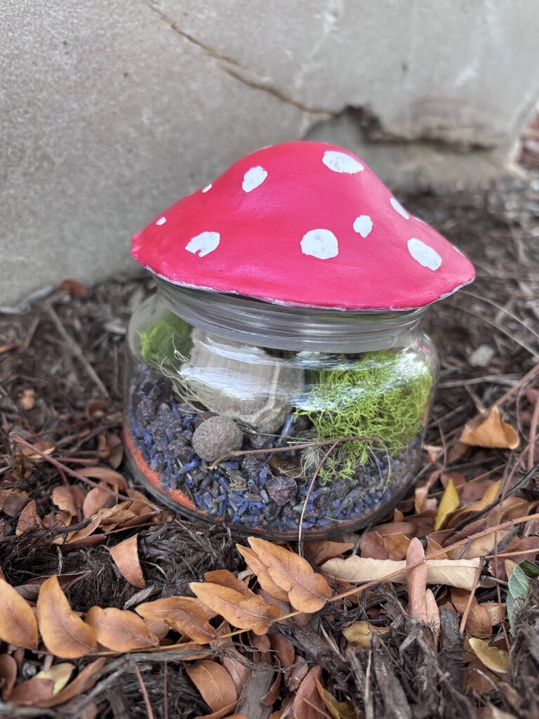 Build a Fall Dream Jar Nov. 20 6:30p - 8:30p