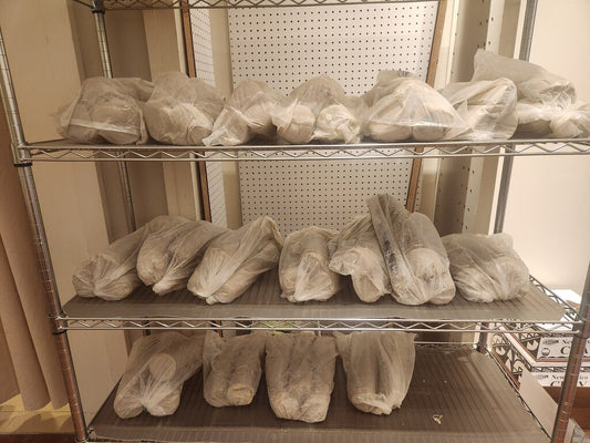 Recycled White Clay per # cone 6