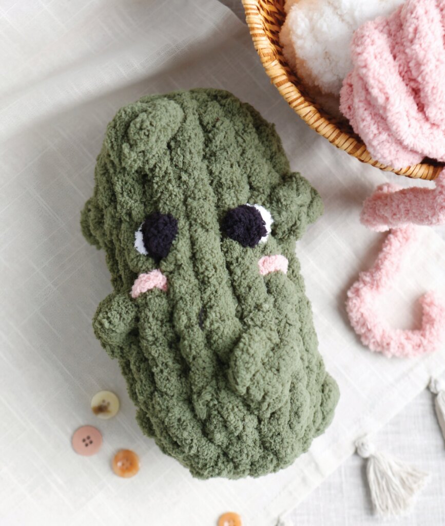 Confident Beginner Hand Knit Chunky Pickle Aug.15 4-6